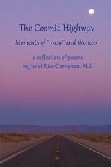 Cosmic Highway